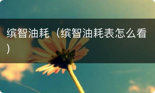 缤智油耗（缤智油耗表怎么看）