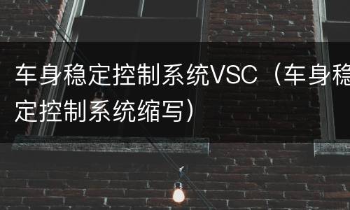 车身稳定控制系统VSC（车身稳定控制系统缩写）