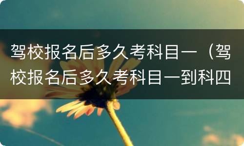 驾校报名后多久考科目一（驾校报名后多久考科目一到科四流程）