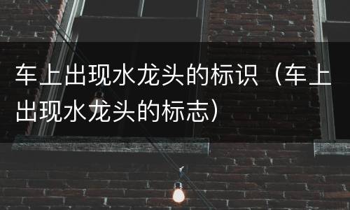 车上出现水龙头的标识（车上出现水龙头的标志）