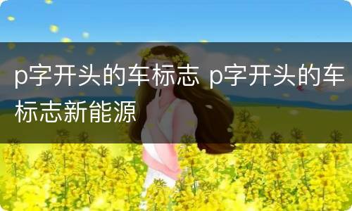p字开头的车标志 p字开头的车标志新能源