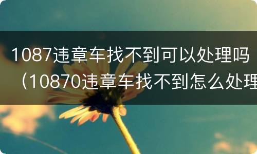 1087违章车找不到可以处理吗（10870违章车找不到怎么处理）