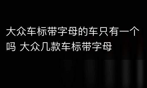 大众车标带字母的车只有一个吗 大众几款车标带字母