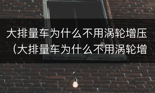 大排量车为什么不用涡轮增压（大排量车为什么不用涡轮增压器）