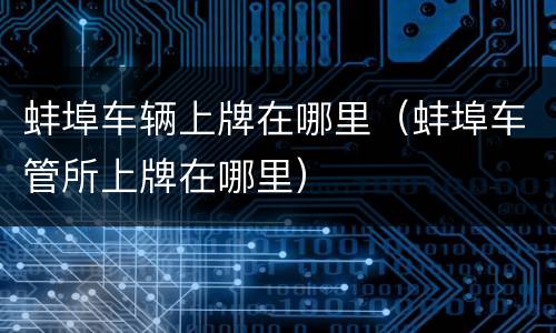 蚌埠车辆上牌在哪里（蚌埠车管所上牌在哪里）