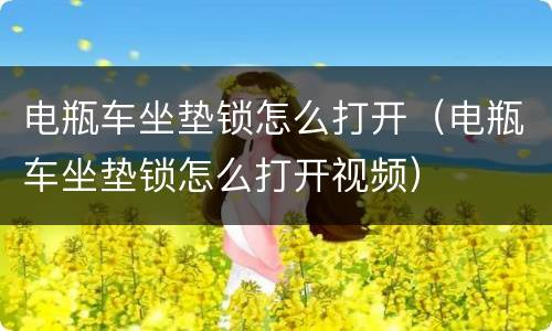电瓶车坐垫锁怎么打开（电瓶车坐垫锁怎么打开视频）