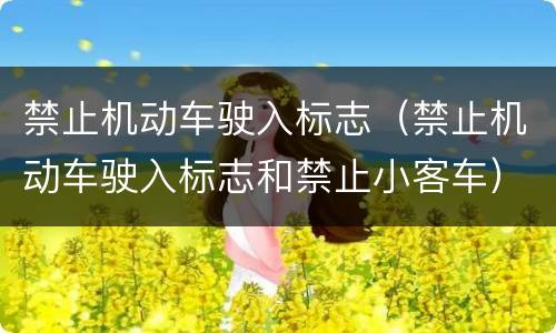禁止机动车驶入标志（禁止机动车驶入标志和禁止小客车）