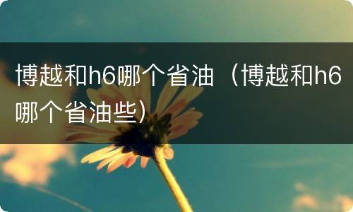 博越和h6哪个省油（博越和h6哪个省油些）