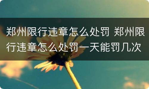 郑州限行违章怎么处罚 郑州限行违章怎么处罚一天能罚几次