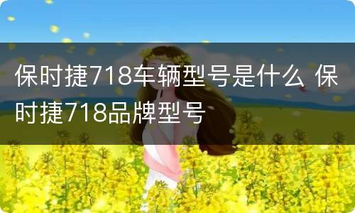 保时捷718车辆型号是什么 保时捷718品牌型号