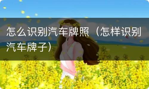 怎么识别汽车牌照（怎样识别汽车牌子）