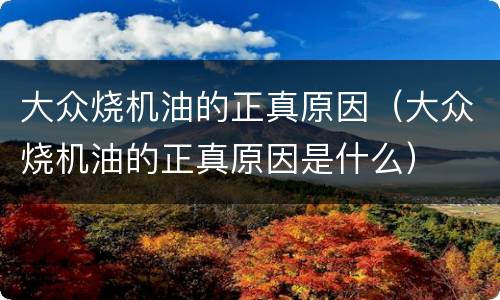 大众烧机油的正真原因（大众烧机油的正真原因是什么）