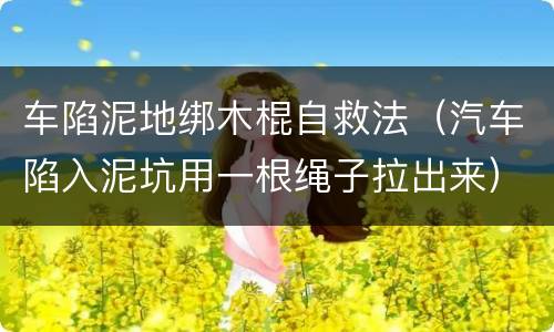 车陷泥地绑木棍自救法（汽车陷入泥坑用一根绳子拉出来）