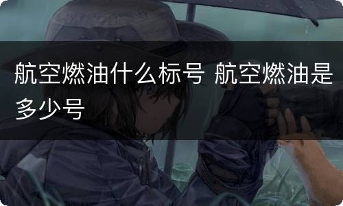 航空燃油什么标号 航空燃油是多少号
