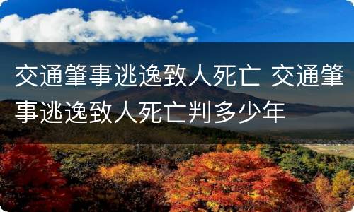 交通肇事逃逸致人死亡 交通肇事逃逸致人死亡判多少年