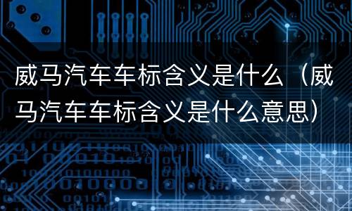 威马汽车车标含义是什么（威马汽车车标含义是什么意思）