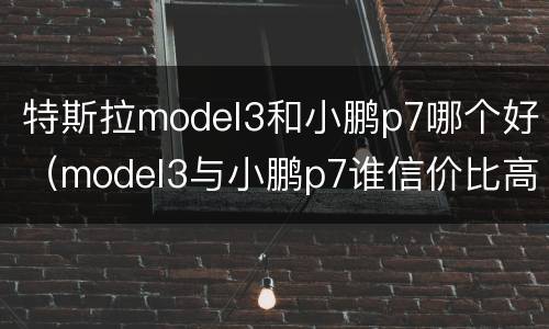 特斯拉model3和小鹏p7哪个好（model3与小鹏p7谁信价比高）