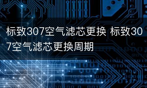 标致307空气滤芯更换 标致307空气滤芯更换周期