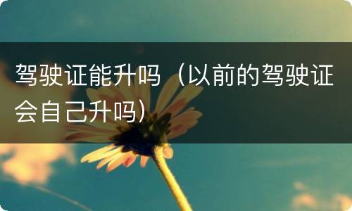 驾驶证能升吗（以前的驾驶证会自己升吗）