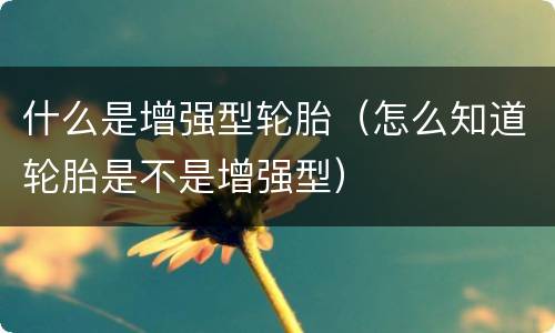 什么是增强型轮胎（怎么知道轮胎是不是增强型）