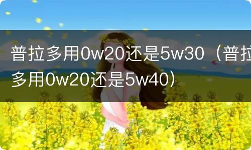 普拉多用0w20还是5w30（普拉多用0w20还是5w40）