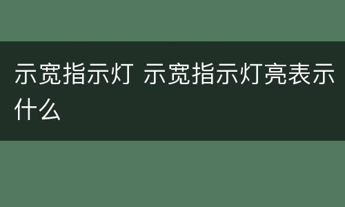 示宽指示灯 示宽指示灯亮表示什么