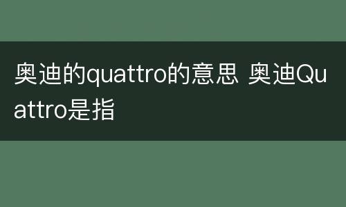奥迪的quattro的意思 奥迪Quattro是指