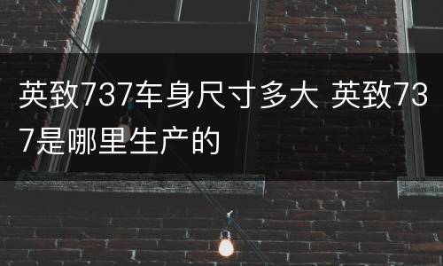 英致737车身尺寸多大 英致737是哪里生产的