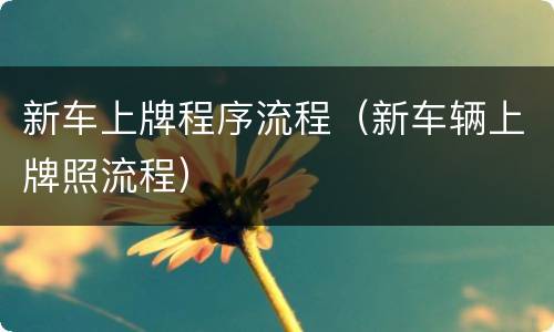 新车上牌程序流程（新车辆上牌照流程）