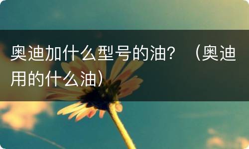 奥迪加什么型号的油？（奥迪用的什么油）