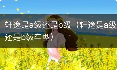 轩逸是a级还是b级（轩逸是a级还是b级车型）
