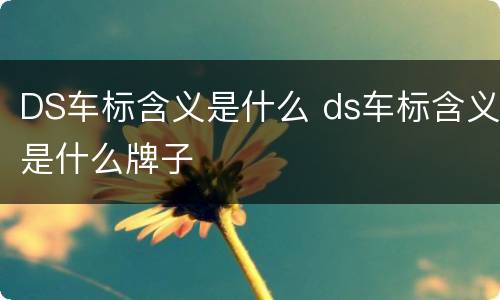 DS车标含义是什么 ds车标含义是什么牌子