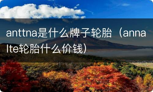 anttna是什么牌子轮胎（annalte轮胎什么价钱）