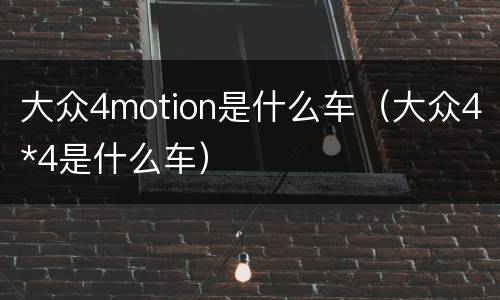 大众4motion是什么车（大众4*4是什么车）