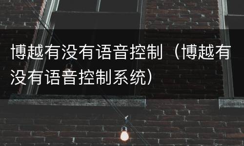 博越有没有语音控制（博越有没有语音控制系统）