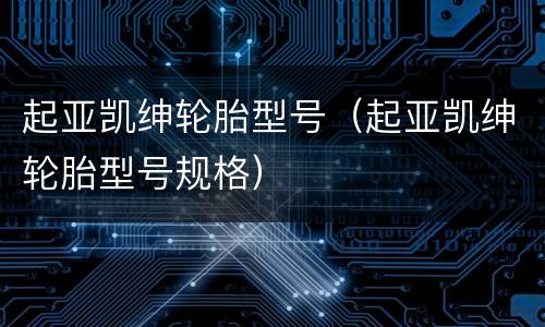 起亚凯绅轮胎型号（起亚凯绅轮胎型号规格）