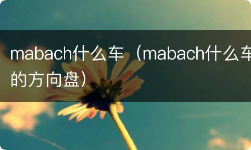 mabach什么车（mabach什么车的方向盘）