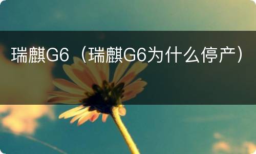 瑞麒G6（瑞麒G6为什么停产）