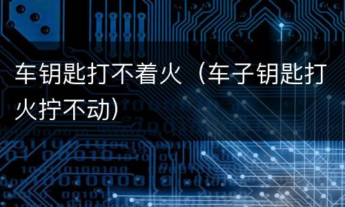 车钥匙打不着火（车子钥匙打火拧不动）