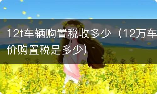 12t车辆购置税收多少（12万车价购置税是多少）
