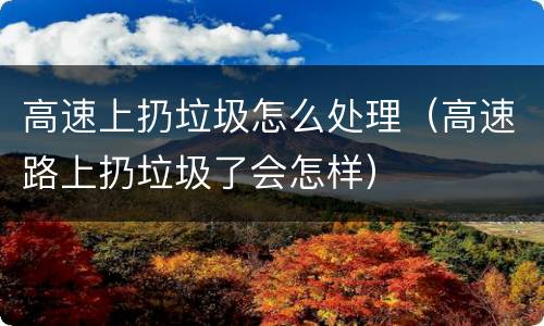 高速上扔垃圾怎么处理（高速路上扔垃圾了会怎样）