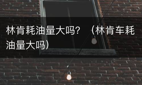 林肯耗油量大吗？（林肯车耗油量大吗）