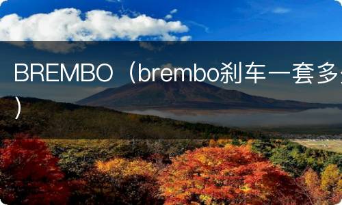 BREMBO（brembo刹车一套多少）