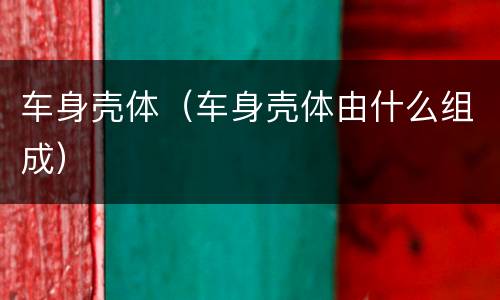 车身壳体（车身壳体由什么组成）