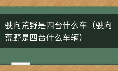 驶向荒野是四台什么车（驶向荒野是四台什么车辆）