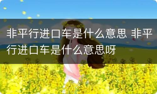 非平行进口车是什么意思 非平行进口车是什么意思呀