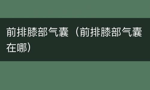 前排膝部气囊（前排膝部气囊在哪）