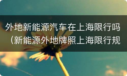 外地新能源汽车在上海限行吗（新能源外地牌照上海限行规定）