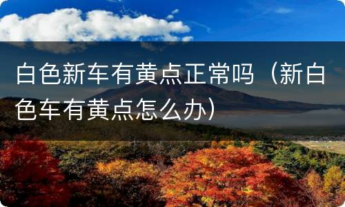 白色新车有黄点正常吗（新白色车有黄点怎么办）