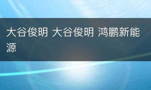 大谷俊明 大谷俊明 鸿鹏新能源